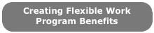 Creating Flexible Work Program Benefits